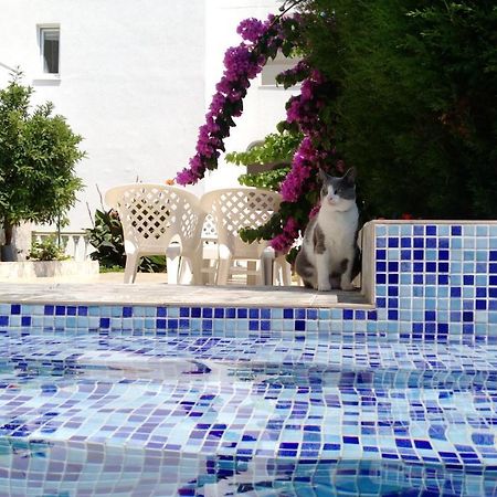 Apartment Barski ภายนอก รูปภาพ